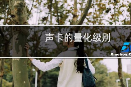 声卡的量化级别