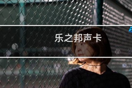 乐之邦声卡