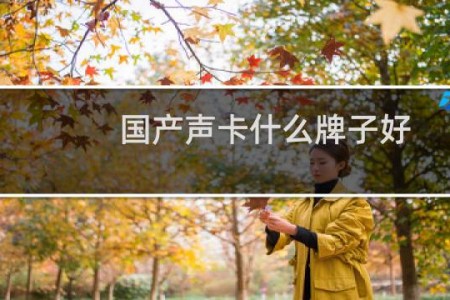 国产声卡什么牌子好